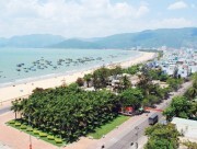 Quy Nhơn: Đề tài khoa học và công nghệ đi vào cuộc sống