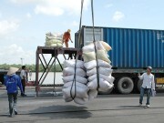 Đa dạng hóa thị trường xuất khẩu