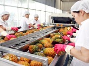 Xuất khẩu trái cây: Tín hiệu khả quan