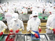 An Giang: Tập trung vào sản phẩm có giá trị xuất khẩu cao