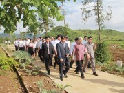 Hạt nhân phát triển kinh tế vùng