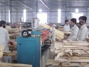 Hỗ trợ có thu hồi: Bài học thực tế từ khuyến công Lâm Đồng