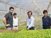 Việt Nam - Nhật Bản: Thúc đẩy hợp tác khoa học và công nghệ