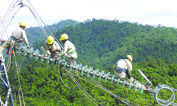 Tổng công ty Truyền tải điện Quốc gia: Tích cực thu xếp vốn cho các dự án truyền tải