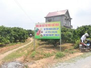Cách làm lớn cho trái vải nhỏ (Kỳ II)
