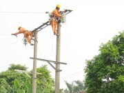 Đảng bộ Công ty Điện lực Quảng Trị: Phát huy tốt vai trò lãnh đạo