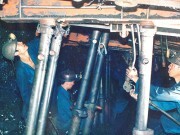 Tăng cường áp dụng khoa học công nghệ vào sản xuất