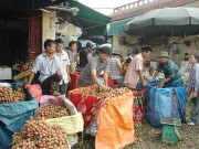 Australia - Thương mại tăng trưởng