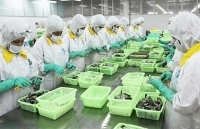 Sóc Trăng dự kiến xuất khẩu 820 triệu USD năm 2019