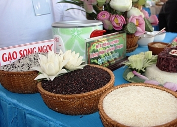 Giá lúa gạo hôm nay 12/1: Giá lúa tiếp tục giảm, giá gạo xuất khẩu 5% tấm còn dưới 400 USD/tấn