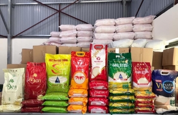 Giá lúa gạo hôm nay ngày 19/2: Lúa gạo về các kho ổn định, giá chững