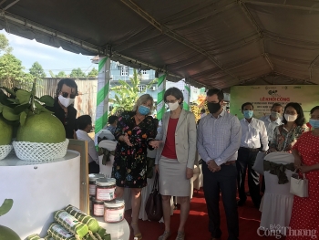 Hoàn thiện chuỗi giá trị nông nghiệp khép kín cho bưởi da xanh Bến Tre