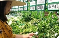 Bọc thực phẩm bằng lá chuối tươi - xu hướng mới?