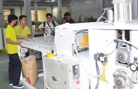 Công nghiệp các tỉnh Đồng bằng sông Cửu Long tăng trưởng tích cực