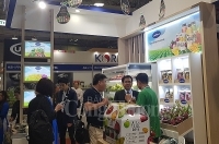 36 quốc gia và vùng lãnh thổ tham gia Food & Hotel Vietnam 2019