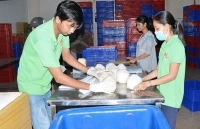 Tăng kết nối, hỗ trợ doanh nghiệp tìm thị trường mới