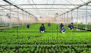 200 tỷ đồng được tài trợ cho chương trình Khởi nghiệp Xanh trên quê hương Việt Nam