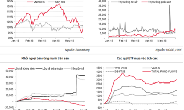 Thị trường chứng khoán đã tạo đáy?