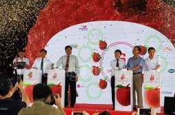 Saigon Co.op cam kết tiêu thụ 400 tấn vải thiều cho tỉnh Bắc Giang và Hải Dương