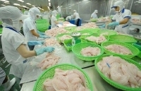 An Giang tập trung nguồn lực để gia tăng xuất khẩu