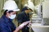 EVFTA: Kỳ vọng đột phá cho xuất khẩu gạo vào EU