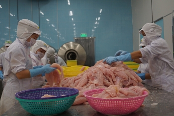 Doanh nghiệp thủy sản mong được tiếp cận vắc xin sớm