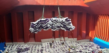 Giá lúa gạo hôm nay 17/6: Giá gạo nguyên liệu tăng trở lại