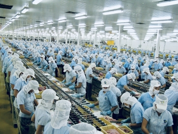 Các nhà máy chế biến thủy sản: Tối đa phương án chống dịch để sản xuất
