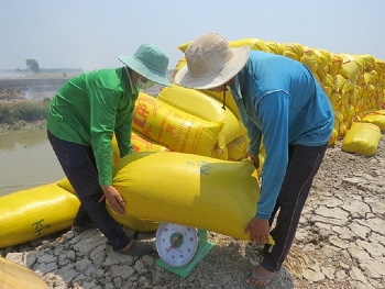 Giá lúa gạo hôm nay ngày 17/07: Nguồn cung ít, giá tăng nhẹ