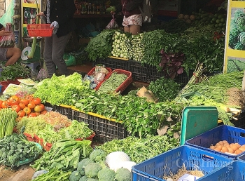 Ngày 23/7: Rau củ, trái cây tăng giá
