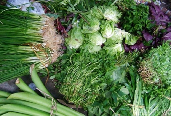 Giá thực phẩm ngày 25/07: Các loại rau củ ổn định, hành lá tăng đột biến