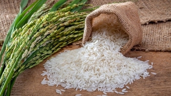 Giá lúa gạo ngày 28/07: Tăng mạnh từ 150 - 300 đồng/kg
