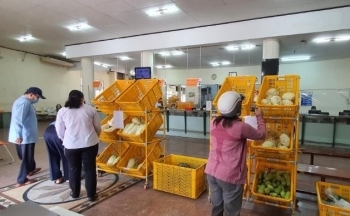 Hơn 17 tấn rau củ được bán qua Bưu điện TP. Hồ Chí Minh