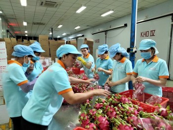 Đồng euro lao dốc: Xuất khẩu lo mất giá, nhập khẩu có hưởng lợi?