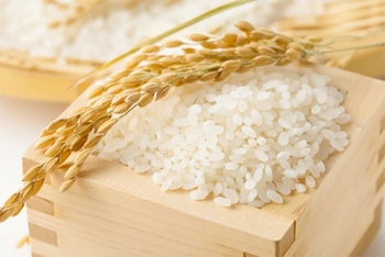 Giá lúa gạo hôm nay ngày 17/8: Ổn định so với cuối tuần