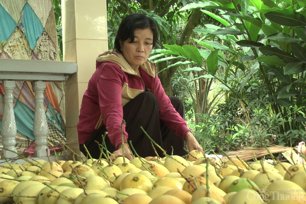 Gấp rút gỡ khó cho xuất khẩu xoài