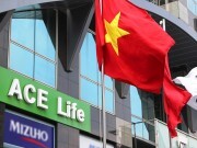 ACE Life tăng vốn điều lệ thêm 100 tỷ đồng