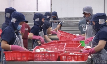 Hậu Covid-19, doanh nghiệp xuất khẩu cá tra sẽ tận dụng tốt EVFTA?