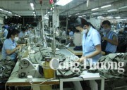 Doanh nghiệp Việt tìm giải pháp tăng xuất khẩu dệt may vào Mỹ