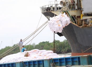 Tuân thủ cam kết EVFTA: Cơ hội gia tăng hạn ngạch xuất khẩu gạo vào EU