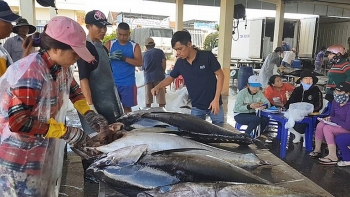 Quyết liệt hơn để gỡ 