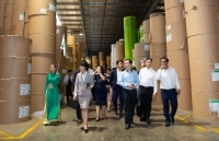 CP Paper đón đầu xu hướng tiêu dùng trong ngành giấy