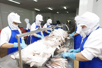 Cuộc thi Thử thách đổi mới sáng tạo nghề cá tỉnh Bà Rịa - Vũng Tàu năm 2020