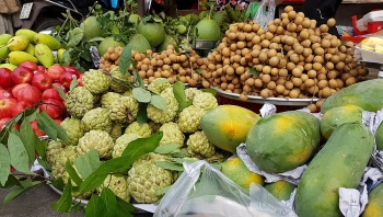 Giá thực phẩm hôm nay 11/11: Bưởi da xanh hút hàng, giá tăng cao