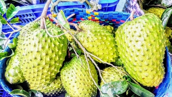 Giá thực phẩm hôm nay 22/11: Mãng cầu xiêm đầu vụ tăng giá