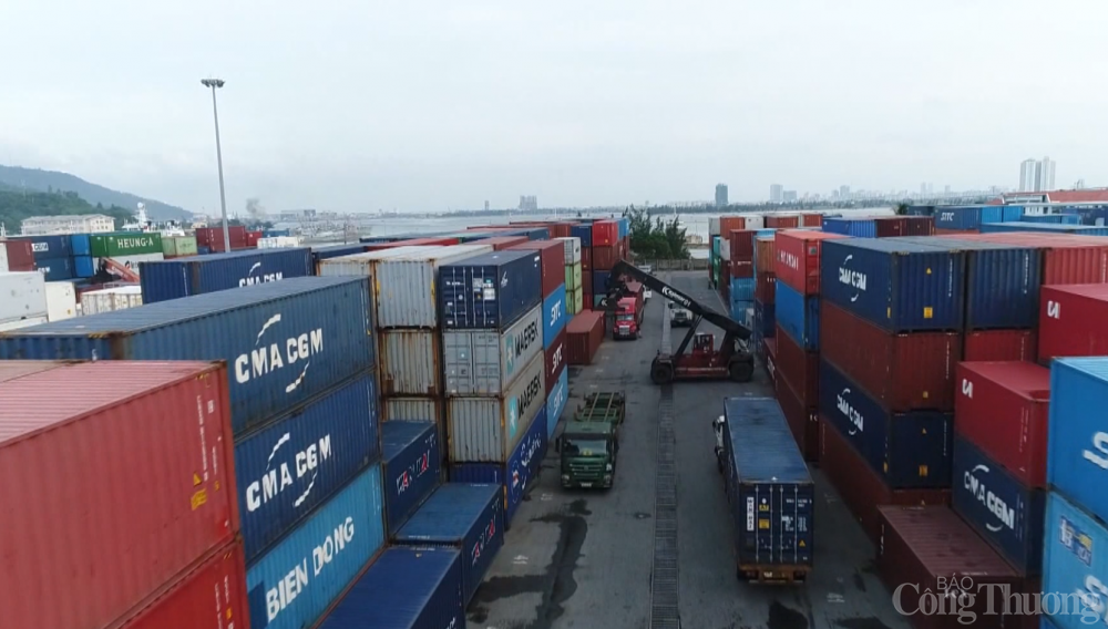 Thiếu container rỗng: Doanh nghiệp kiến nghị cơ quan chức năng sớm vào cuộc
