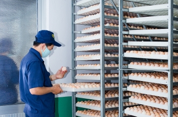 Masan MEATLife hoàn tất thương vụ rót vốn vào Công ty 3F VIỆT