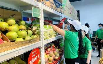 Grove Group ra mắt “chợ đa năng” ứng dụng số hóa đầu tiên tại Việt Nam