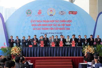 Ký kết hợp tác thúc đẩy mô hình hợp tác xã Việt Nam phát triển