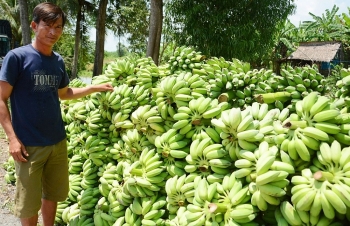 Giá thực phẩm hôm nay 23/12: Tăng giảm trái chiều